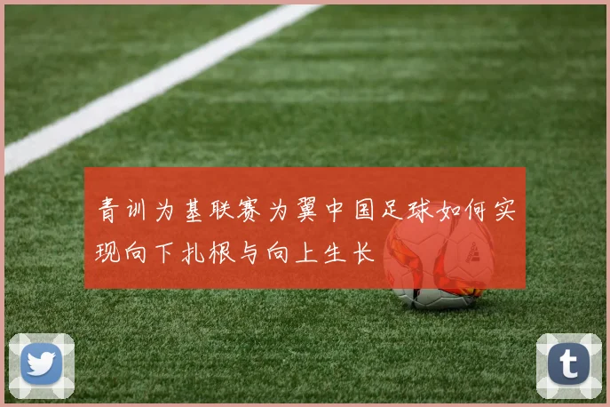 青训为基联赛为翼中国足球如何实现向下扎根与向上生长