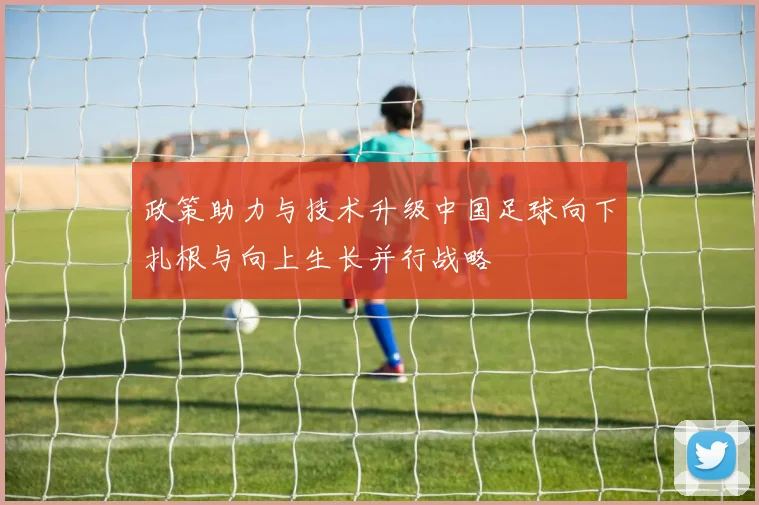 政策助力与技术升级中国足球向下扎根与向上生长并行战略