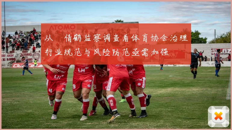 从遆倩鹤监察调查看体育协会治理行业规范与风险防范亟需加强